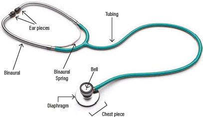 What Is The Bell Of A Stethoscope | Chemistry Labs