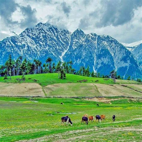 Sawat valley | Beautiful pakistan, Natural landmarks, Swat valley