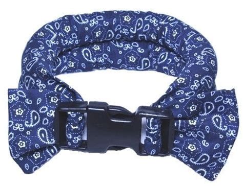 Best Calming Collar for Dogs Brands in 2020 (Natural and DAP Collars)