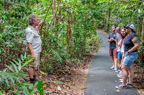 Cairns Rainforest Tours | Wetlands |Waterfalls | River Cruise