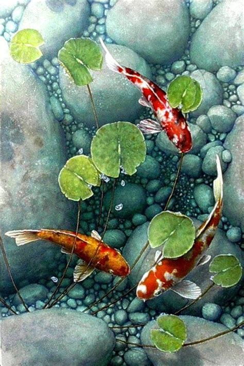 Новости | Koi art, Koi painting, Watercolor fish