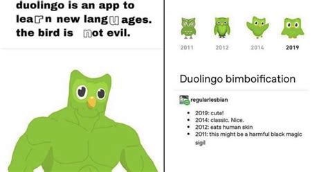 Dumb Duolingo Memes For Both Linguists And Language Luddites - Memebase - Funny Memes