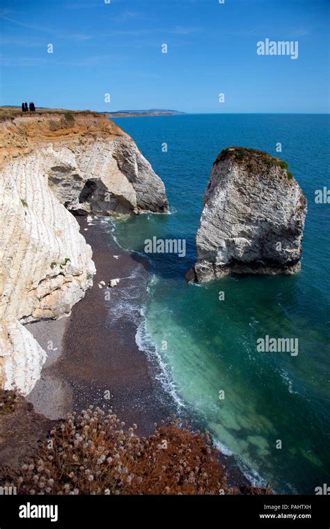 Chalk, Stack, Cliffs, Freshwater Bay, Isle of Wight, England, UK ...