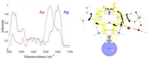 Chemical enhancement effects on protoporphyrin IX surface‐enhanced Raman spectra: Metal ...