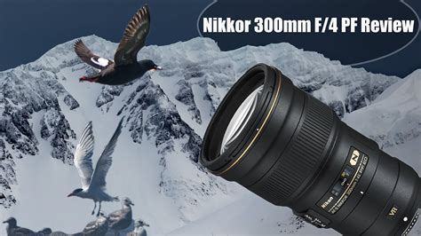 Nikon 300mm F4E PF Nikkor Lens Review - Portable, Lightweight Lens for Wildlife Photography ...