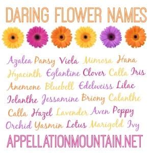 Azalea and Edelweiss: Daring Flower Names - Appellation Mountain