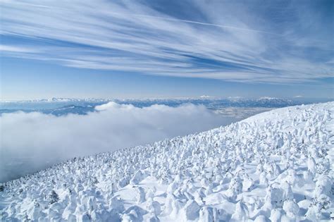 Snow Monster, Yamagata, Winter Scenes, Monsters, Flickr, Wonder, Mountains, Natural Landmarks ...