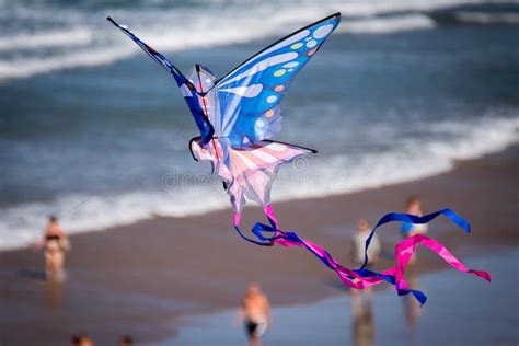 Kite flying on the beach stock image. Image of seashore - 57392029