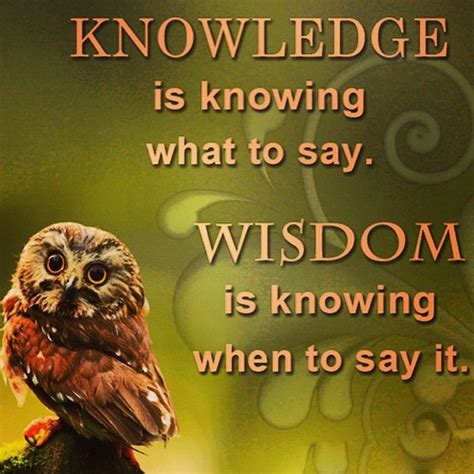 an owl's wisdom | Wisdom quotes, Inspirational quotes, Quotable quotes