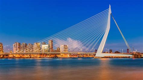 Erasmus Bridge in Rotterdam, The Netherlands | Heavenly Holland