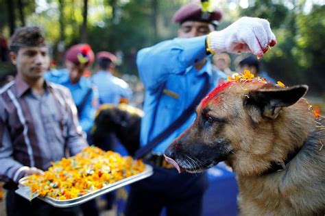 Tihar - Festival that celebrates Dogs