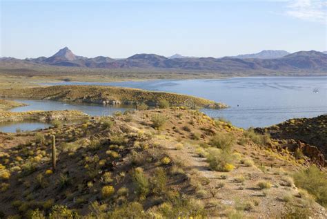 Alamo Lake State Park in Arizona Stock Photo - Image of park, view: 9799152