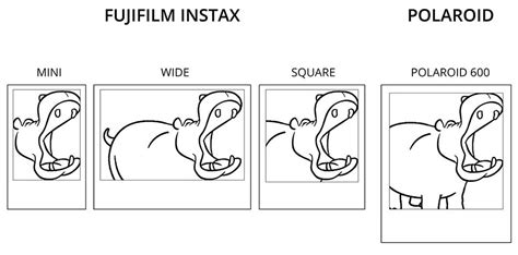 Fuji vs Polaroid Smackdown! (Part 1) - MiNT Camera Blog