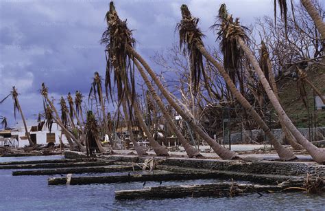 Roatan Islands after Hurricane Mitch, Honduras | Nigel Dickinson