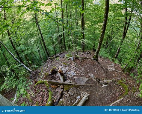 Hiking Trail Descends from a Very Steep Slope in the Spring Forest Stock Image - Image of park ...