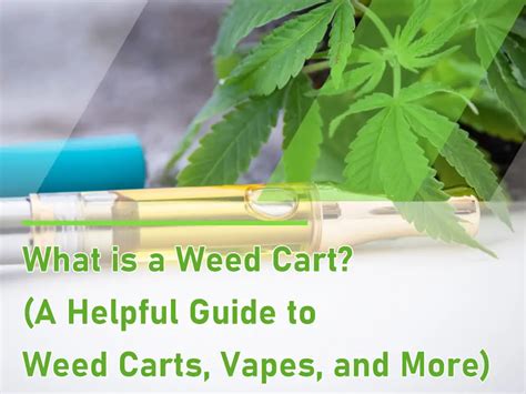 What is a Weed Cart? (Guide to Weed Carts, Vapes, and More) - AFANCY