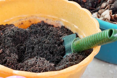 Potting Soil Mix Explained: Ingredients and Labels - Modern Farmer