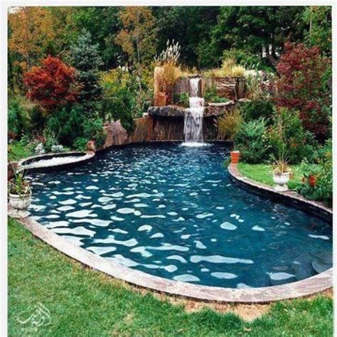 Swimming Pool Landscaping - Greenium