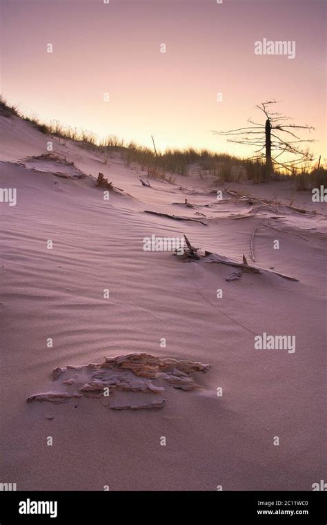 Sand dunes at sunrise Stock Photo - Alamy