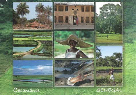 MY POSTCARD-PAGE: SENEGAL ~ Casamance Region