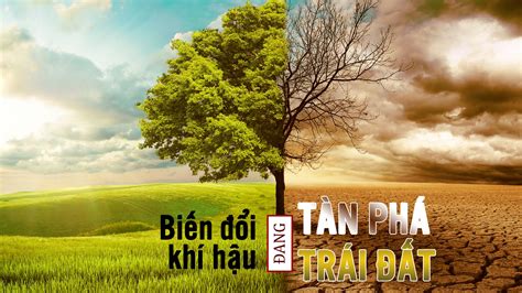 Biến đổi khí hậu đang tàn phá Trái Đất