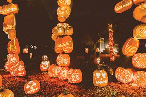 Halloween Festival Featuring Thousands of Lights and Pumpkins Rolls Into Dallas