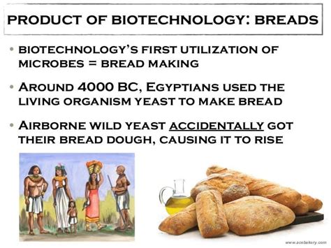 Classical Biotechnology: FERMENTATION