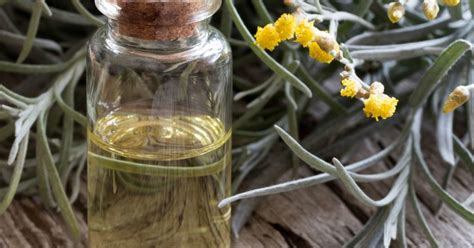 Helichrysum essential oil: 5 benefits and how to use