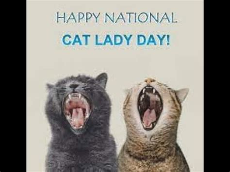 NATIONAL CAT LADY DAY - YouTube