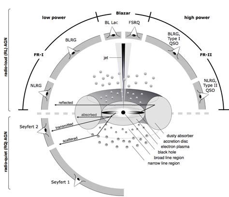 Active Galactic Nucleus: Phenomenon and Detection Methods - 1123 Words ...