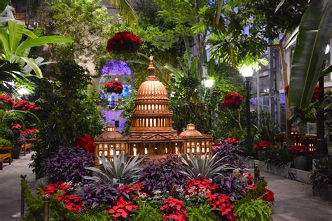 Season’s Greenings at the Botanic Garden - MidCity DC News