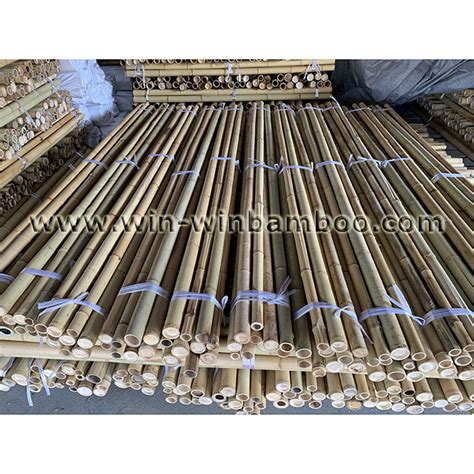 Moso Bamboo poles natural clean