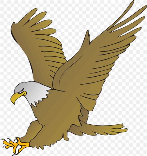 Bald Eagle Cartoon Drawing Clip Art, PNG, 1204x1280px, Bald Eagle, Accipitriformes, Beak, Bird ...