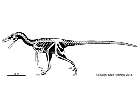 Utahraptor vs Velociraptor - boards.ie