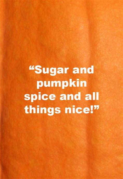 55 Best Pumpkin Quotes and Puns - Funny Sayings About Pumpkins for ...