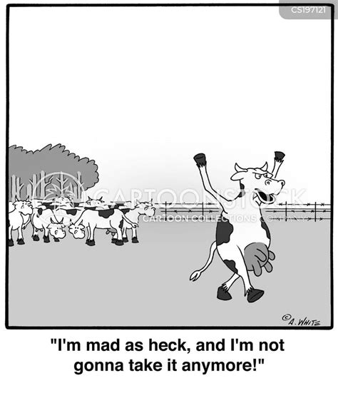 Mad Cow Cartoons and Comics - funny pictures from CartoonStock