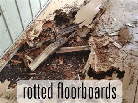 Wood Floor Problems: 14 Important Signs to Identify Them | Maintenance ...