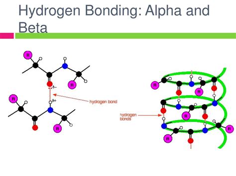 PPT - Proteins PowerPoint Presentation, free download - ID:1460585