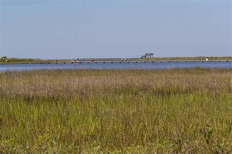 Galveston Island State Park beach redevelopment project pushed back