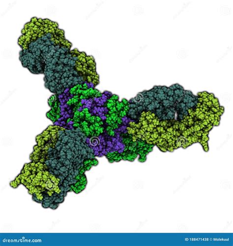 Ebola Virus Glycoprotein (GP), Molecular Structure. Occurs As Spikes on ...