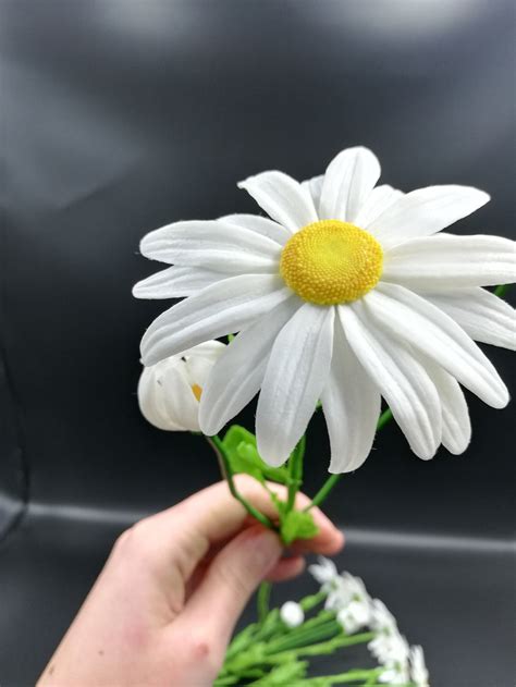 Daisy Wild Flowers Daisy Flowers Bouquet of Wildflowers Flower - Etsy