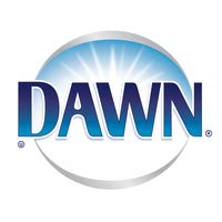 Dawn | Logopedia | Fandom