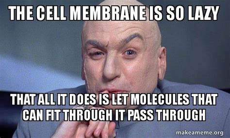 The cell membrane is so lazy that all it does is let molecules that can ...