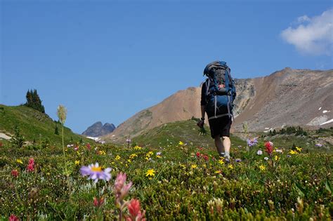 5 Best Summer Activities in Golden BC - Hike & Raft the Canadian Rockies