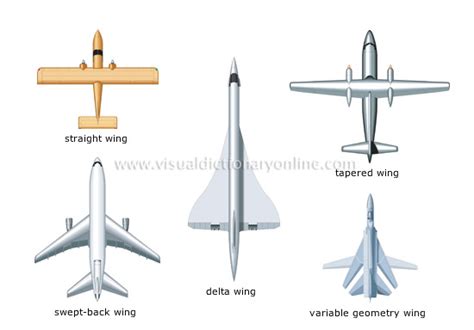 TRANSPORT & MACHINERY :: AIR TRANSPORT :: EXAMPLES OF WING SHAPES image - Visual Dictionary Online