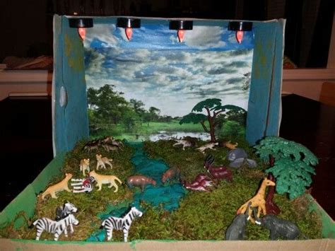 African Savanna Biome Project - Pets Lovers