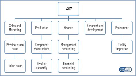 Difference Between Functional and Divisional Structure | Functional vs ...