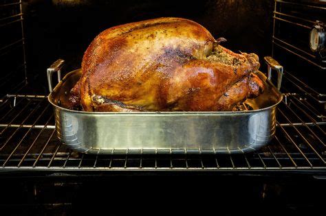 Perfect Roast Turkey With Bacon | Recipe | Cooking turkey, Reheat turkey, Roasted turkey