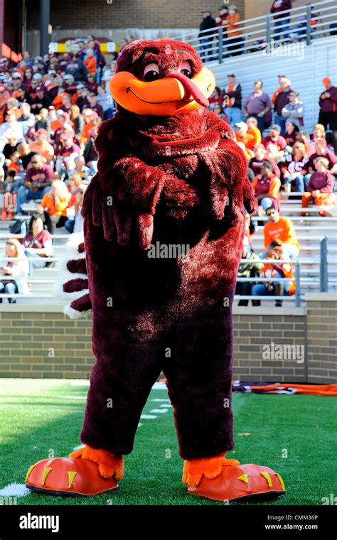 Hokiebird hi-res stock photography and images - Alamy