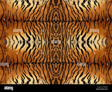 Tiger fur pattern hi-res stock photography and images - Alamy